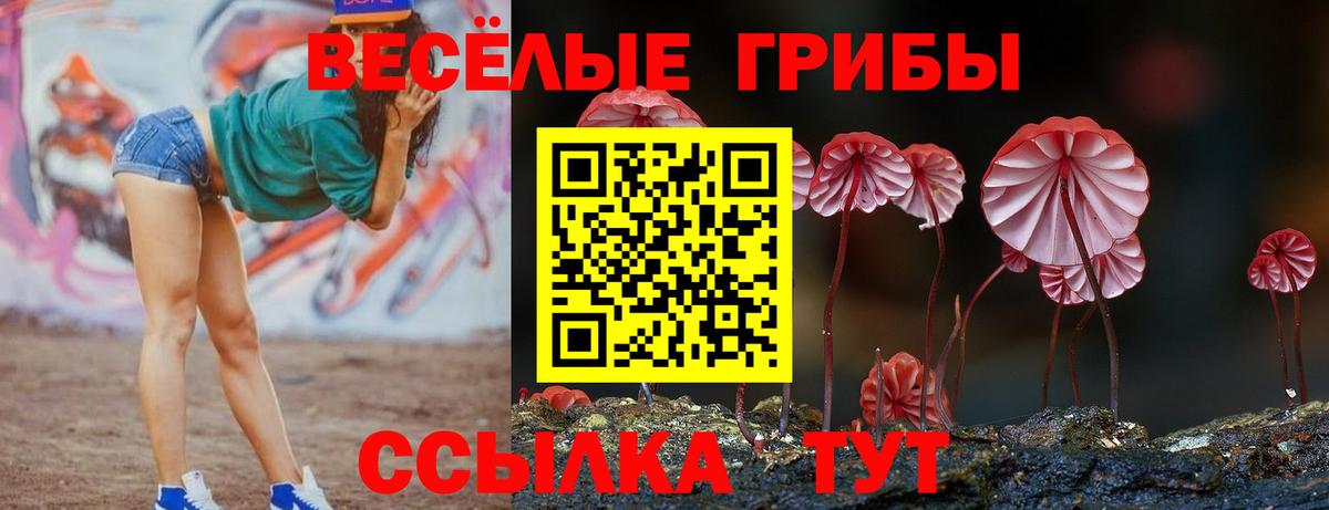 Галлюциногенные грибы Psilocybine cubensis Вологда