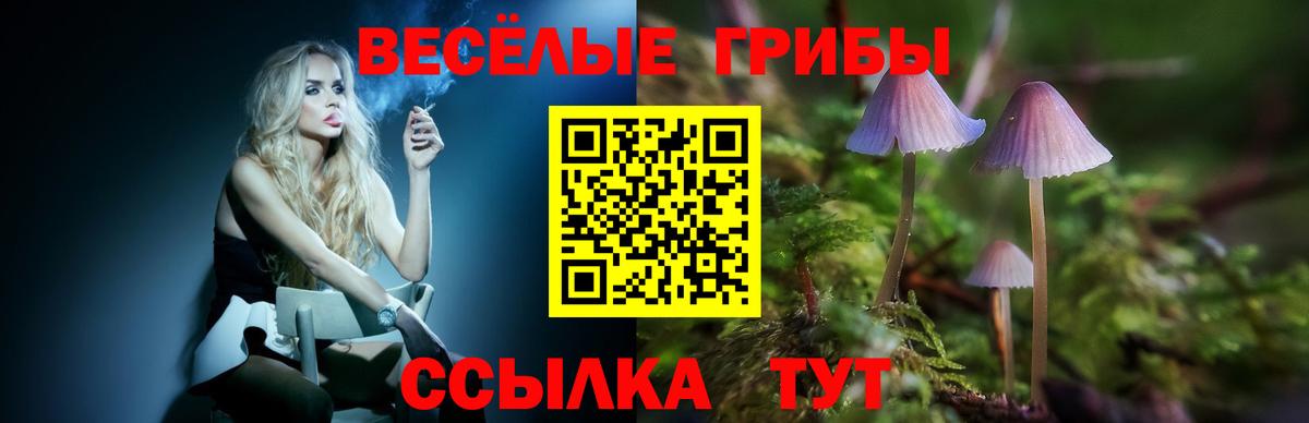 Псилоцибиновые грибы мухоморы  магазин  наркотиков  Вологда  Вход с VPN 